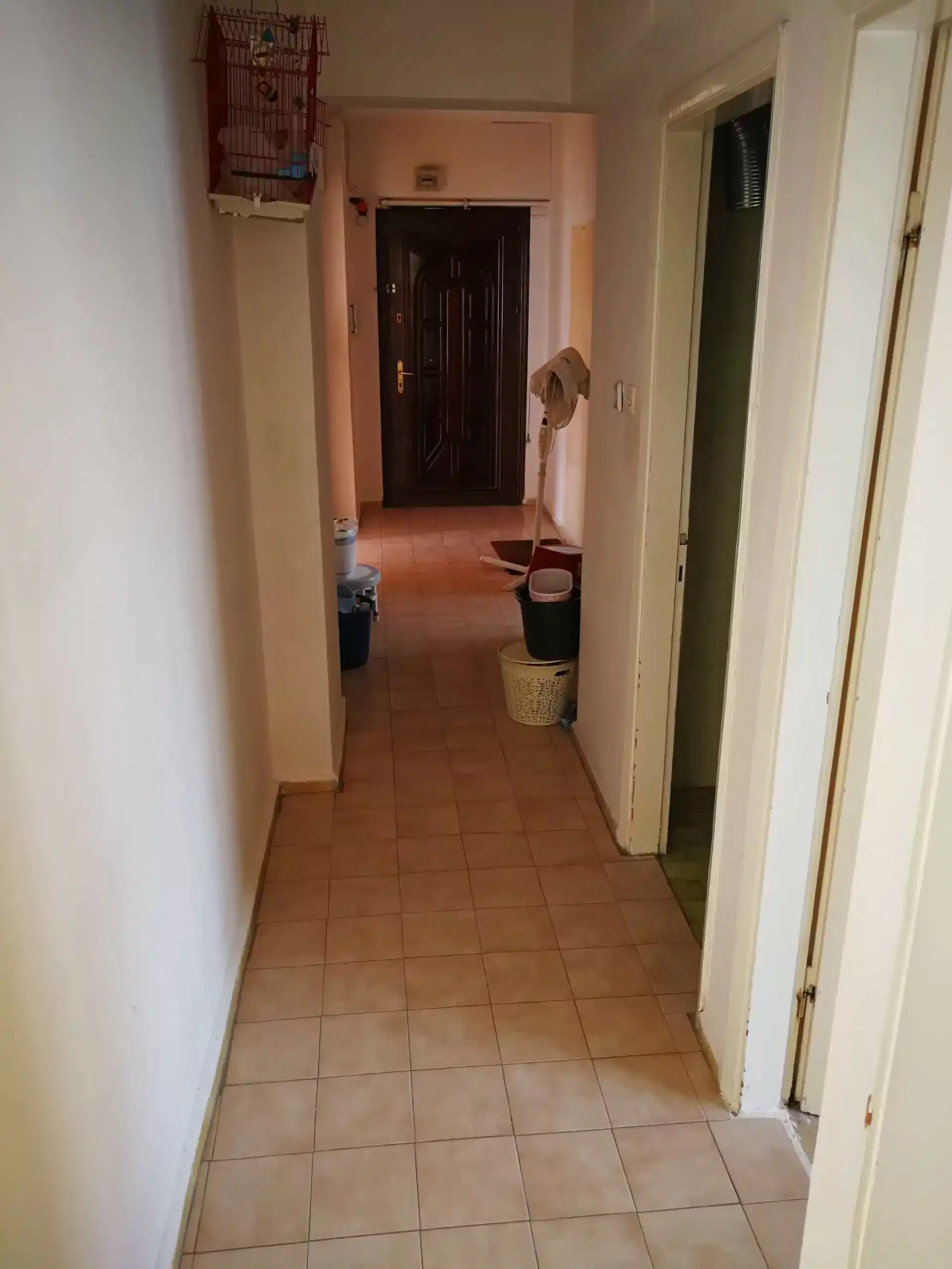 IMG 20181013 112252 scaled