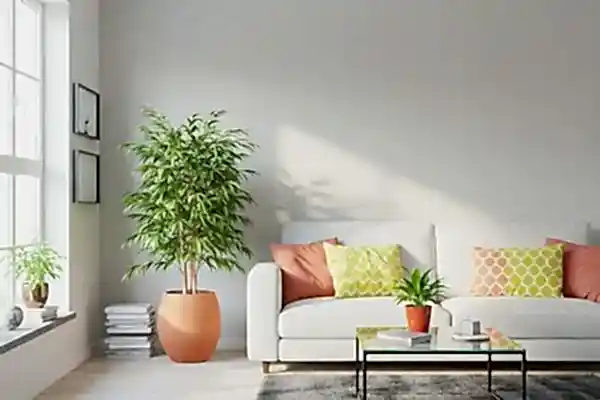 Trio Konutları Tadilat Dekorasyon